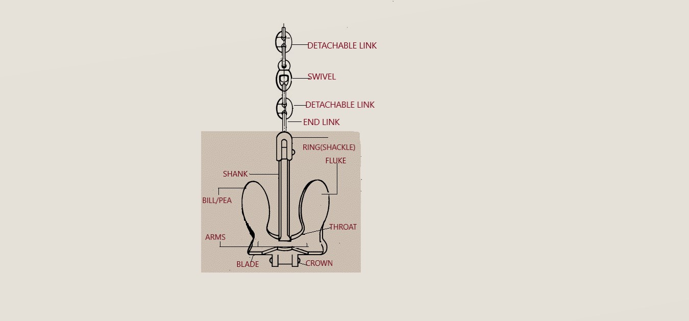 Anchoring a ship Anchoring ProcedureRight Anchoring