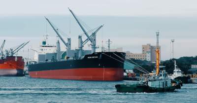 What are Bulk Carrier ships?